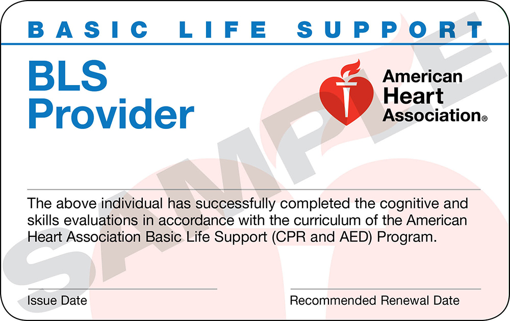 Basic Life Support (BLS) Provider (CPR) Trio Safety CPR+AED Solutions